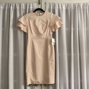 Light pink Calvin Klein Pencil Dress NWT